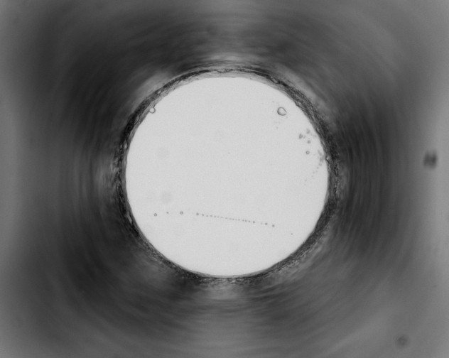 X0000103911259200810311424