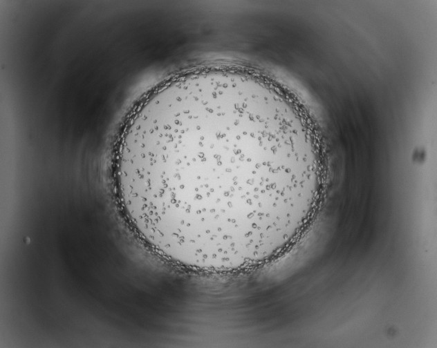 X0000103911261200810311424