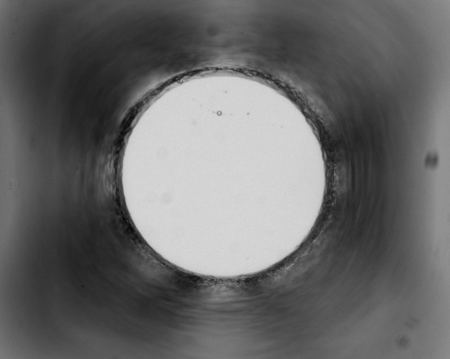 X0000103911262200810311424