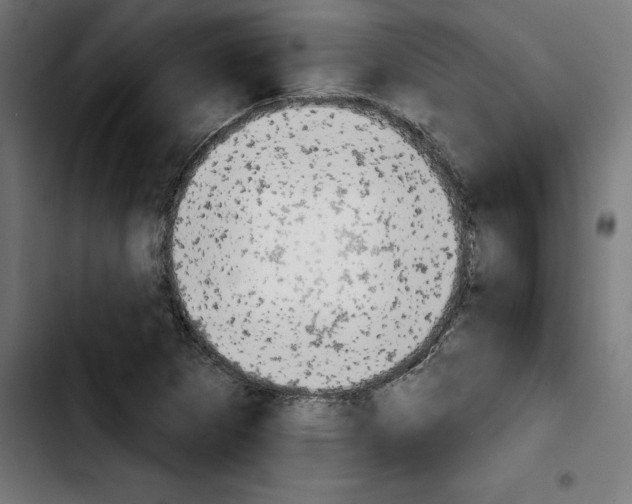X0000103911265200810311424