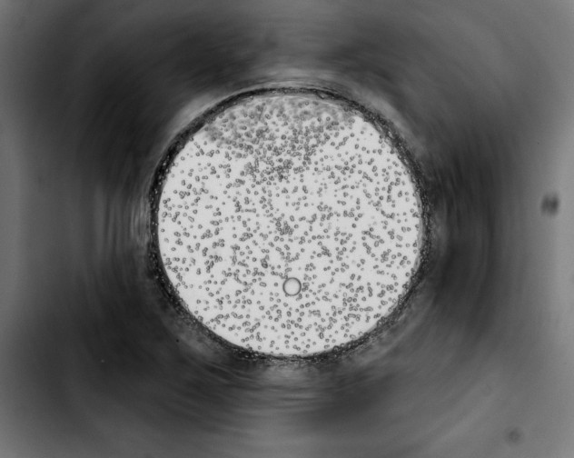 X0000103911267200810311424