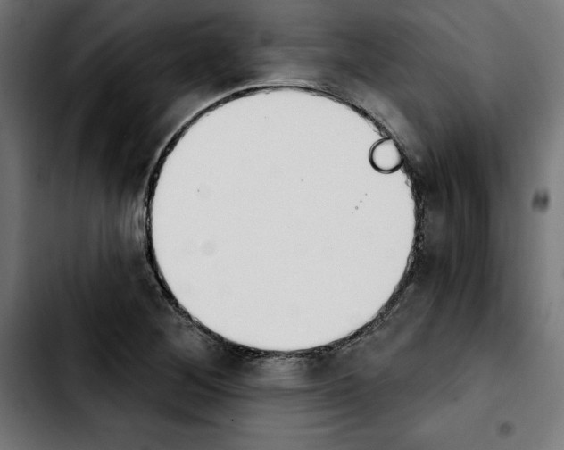 X0000103911268200810311424