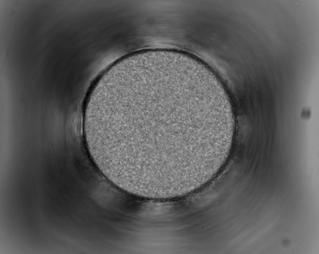 X0000103911269200810311424