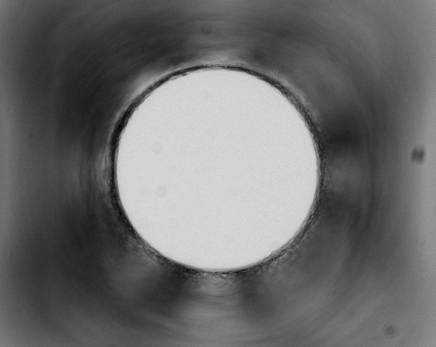 X0000103911270200810311424