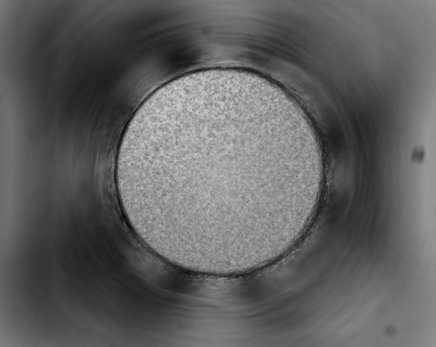X0000103911273200810311424