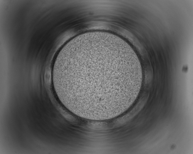 X0000103911274200810311424