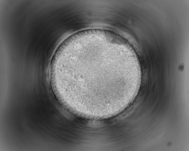 X0000103911275200810311424