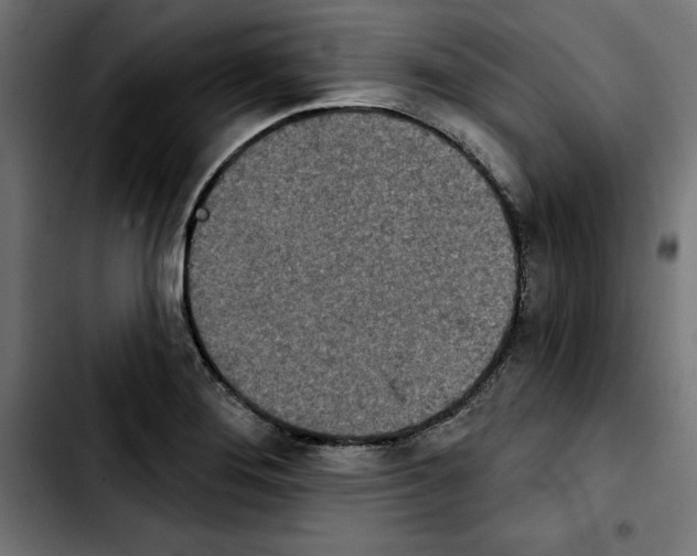 X0000103911276200810311424
