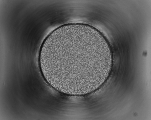 X0000103911277200810311424