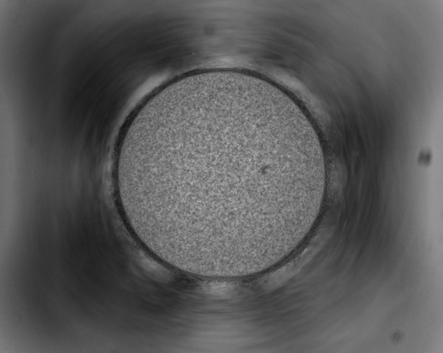 X0000103911278200810311424