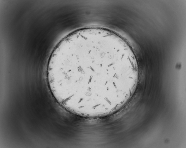 X0000103911279200810311424