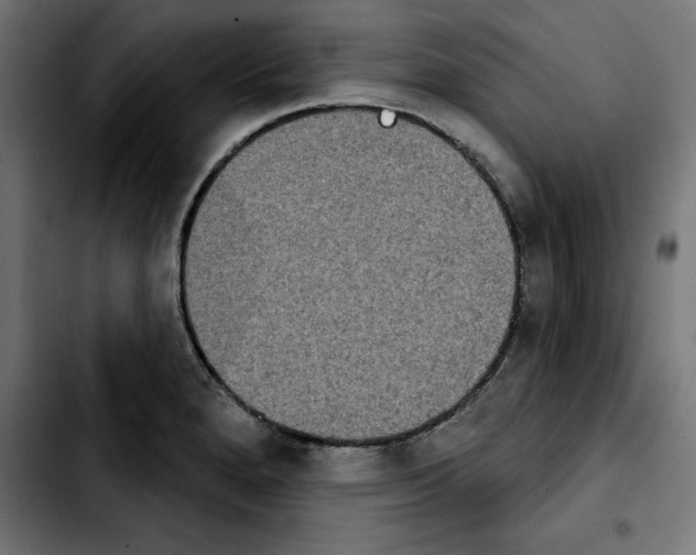 X0000103911280200810311424