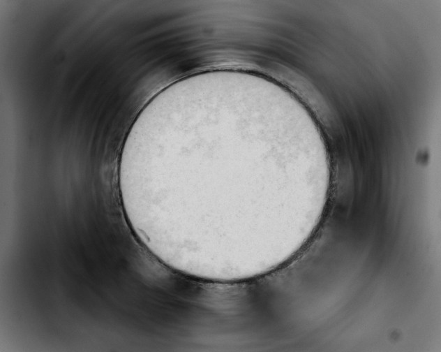 X0000103911281200810311424