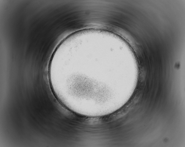 X0000103911283200810311424