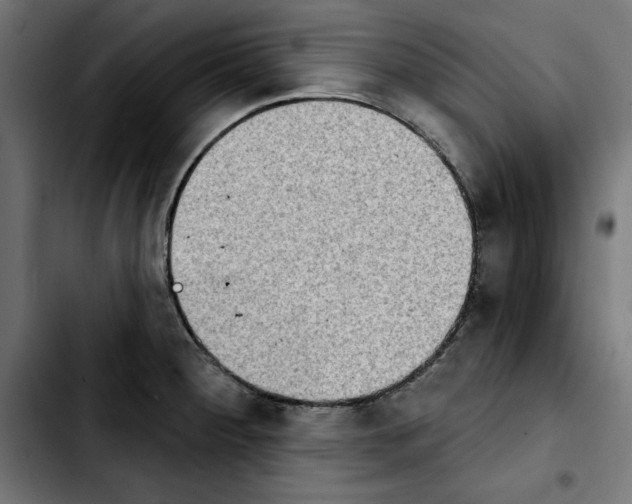 X0000103911284200810311424