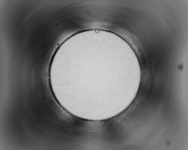X0000103911285200810311424
