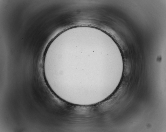 X0000103911286200810311424