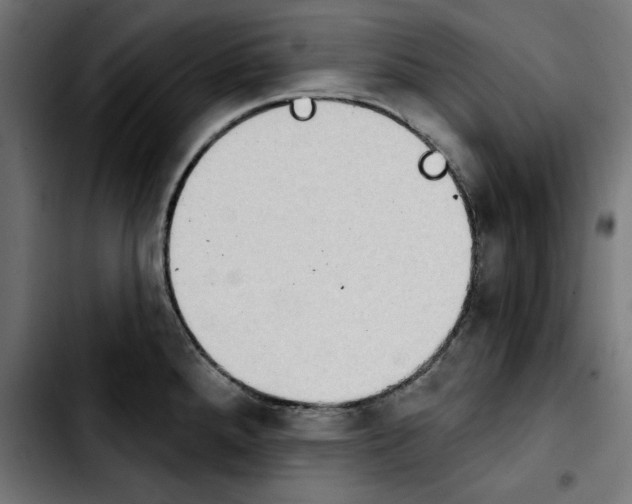 X0000103911288200810311424
