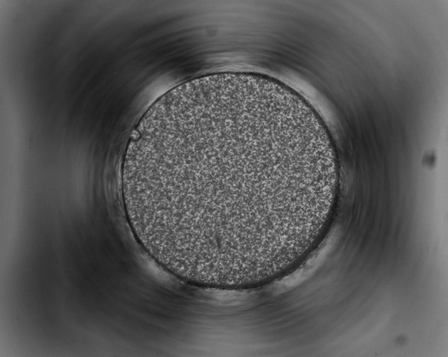 X0000103911289200810311424
