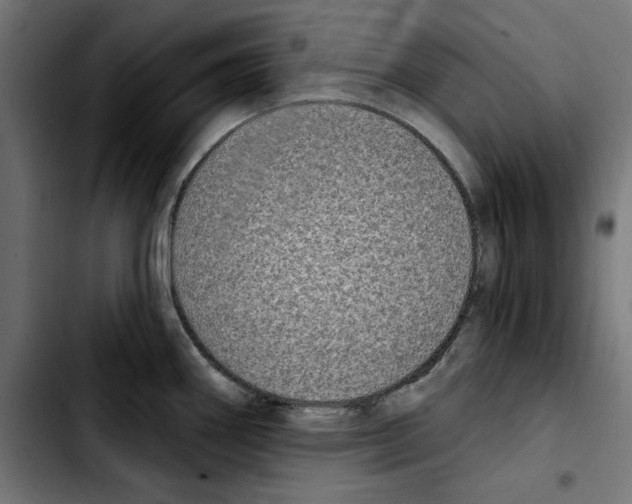 X0000103911290200810311424