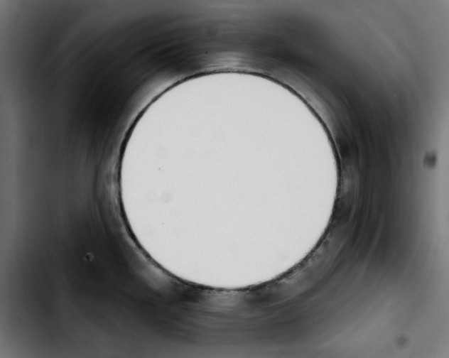 X0000103911293200810311424