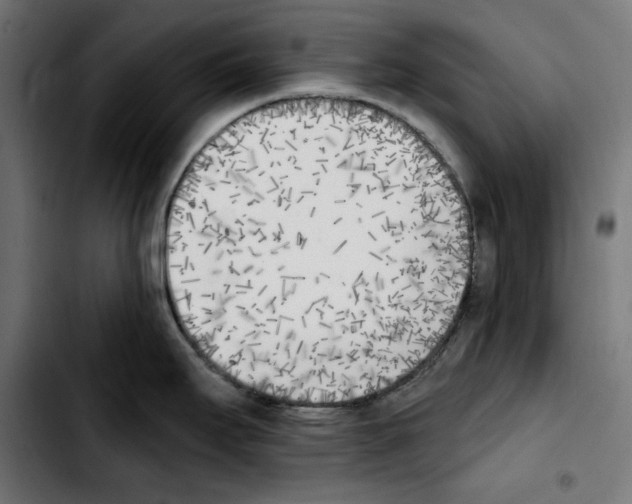 X0000103911295200810311423