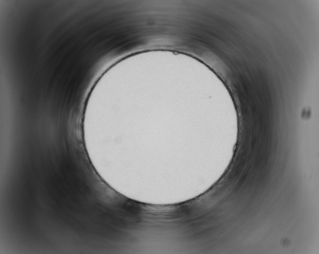 X0000103911296200810311423
