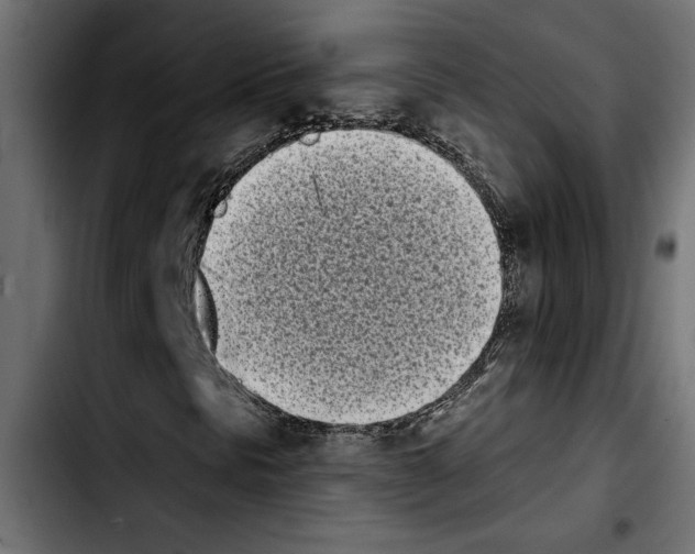 X0000103911297200810311423