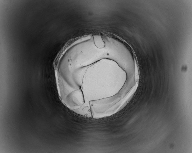 X0000103911298200810311423