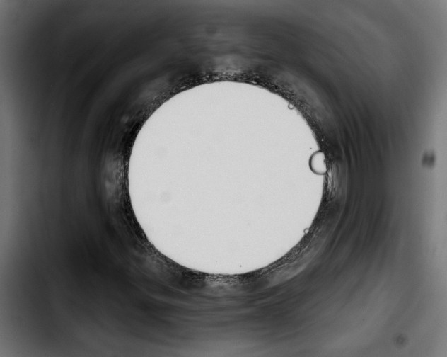 X0000103911299200810311423