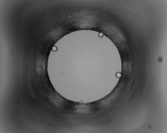 X0000103911300200810311423