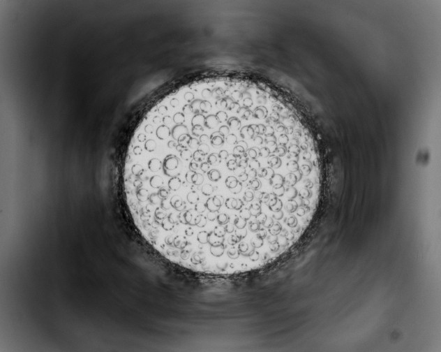 X0000103911302200810311423