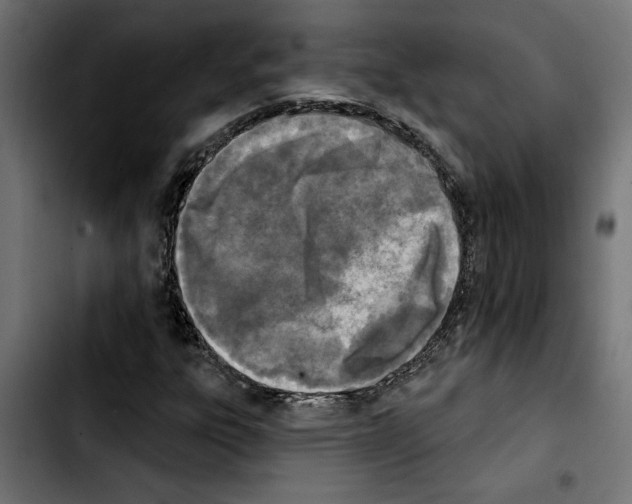 X0000103911303200810311423