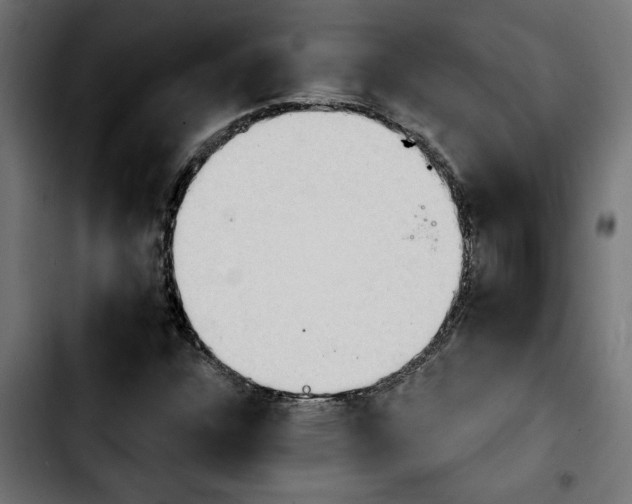 X0000103911304200810311423
