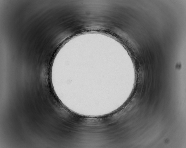 X0000103911305200810311423