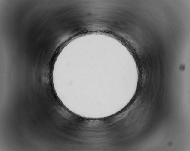 X0000103911306200810311423