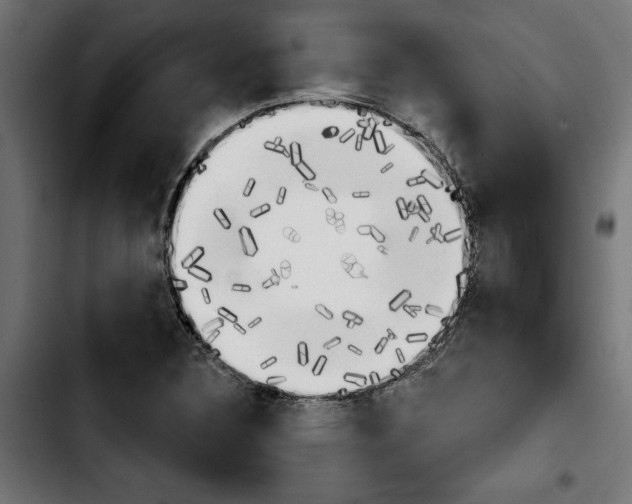 X0000103911308200810311423