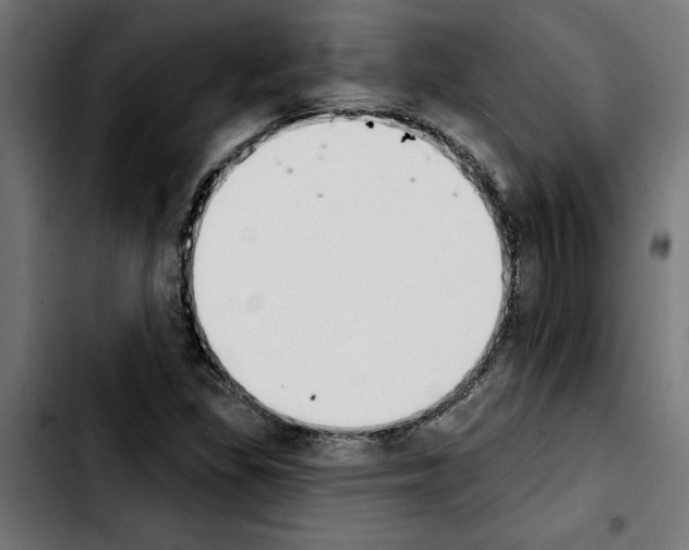 X0000103911309200810311423