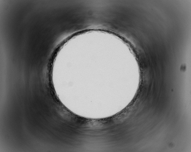 X0000103911311200810311423