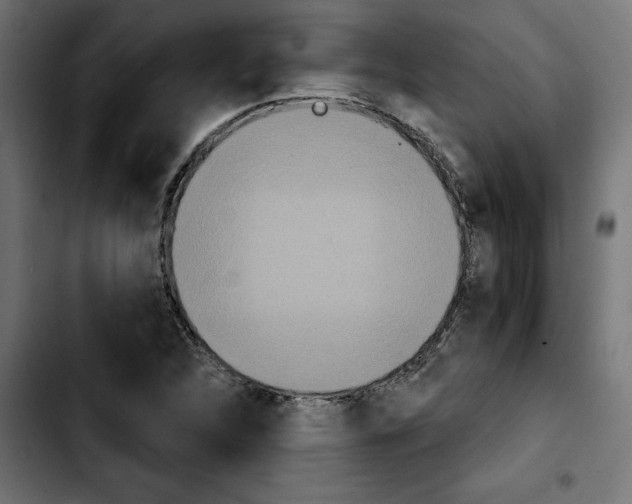 X0000103911312200810311423