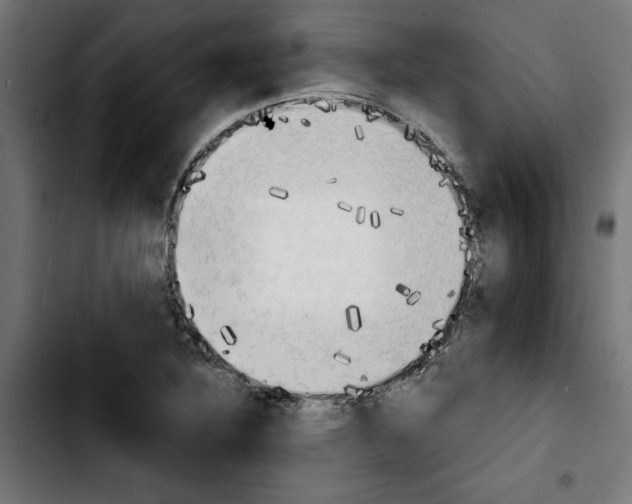 X0000103911316200810311423