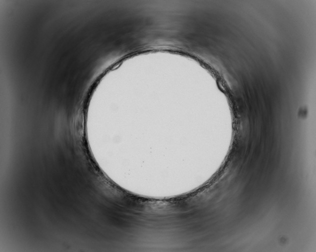 X0000103911317200810311423