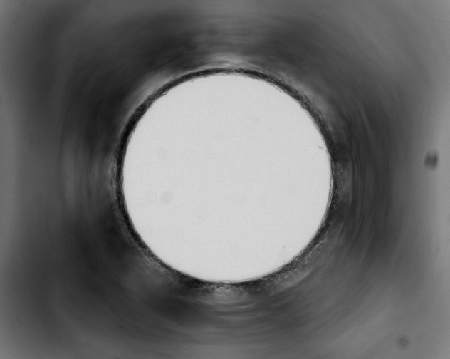 X0000103911318200810311423