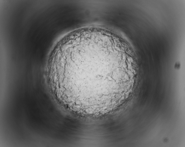 X0000103911320200810311423