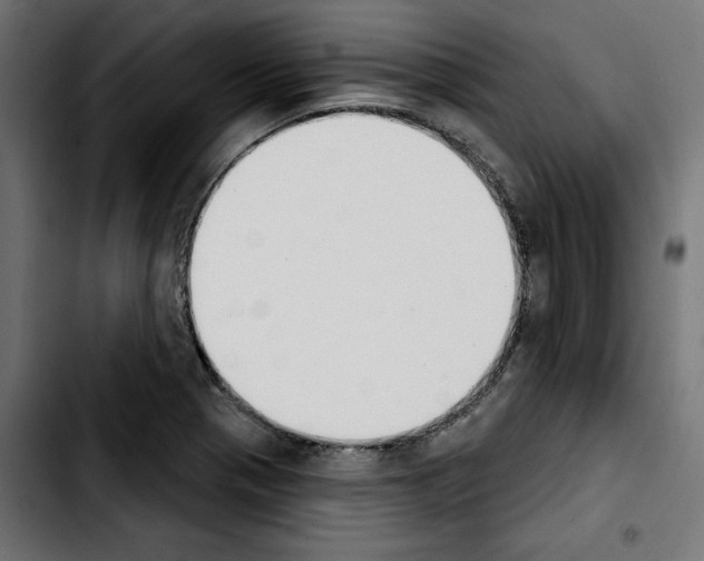 X0000103911321200810311423