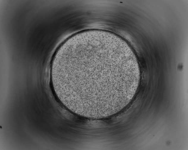 X0000103911323200810311423