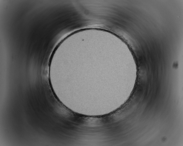X0000103911324200810311423