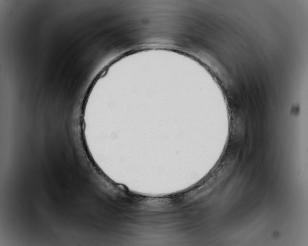 X0000103911325200810311423