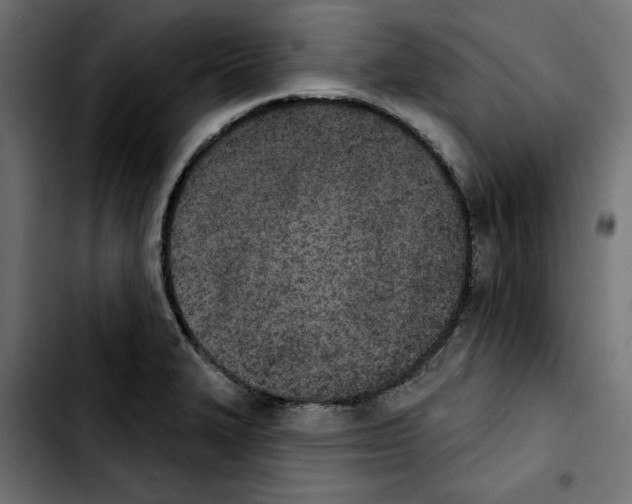 X0000103911327200810311423