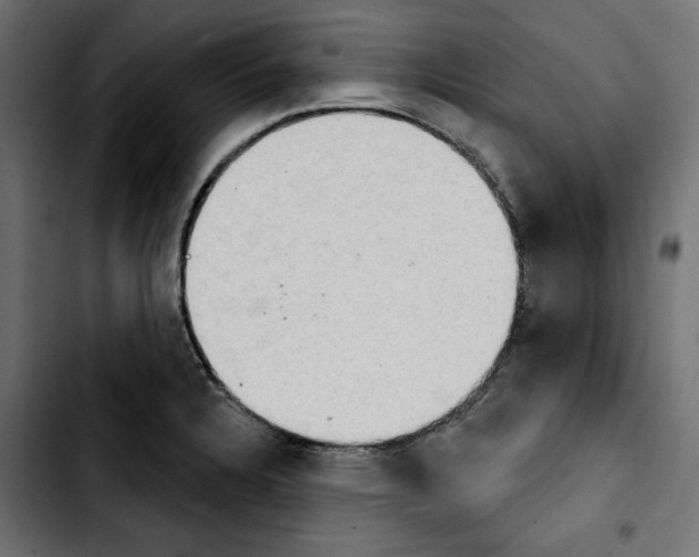 X0000103911328200810311423